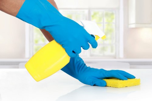 Carpet cleaning professional using safe equipment in a protected indoor environment