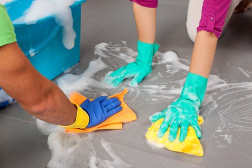 Upholstery cleaning for pet odour in Brompton