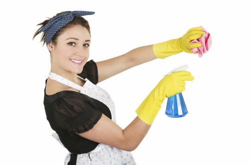 Professional upholstery stain cleaning process