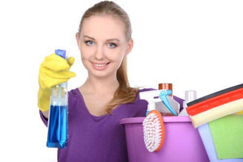 Escalation stage in a professional carpet cleaning complaint process